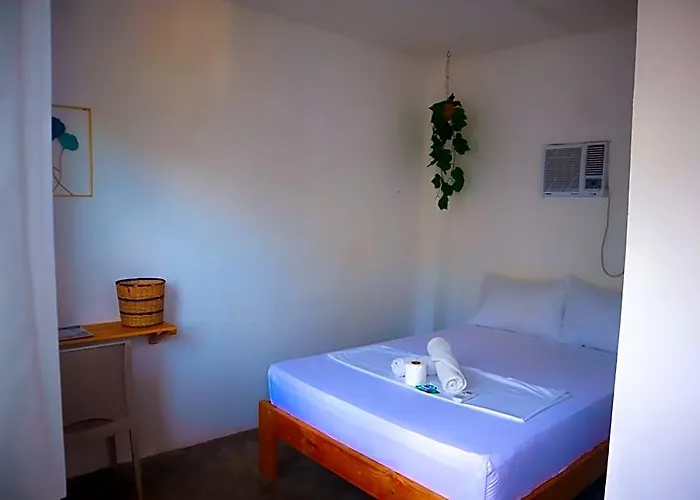 Camotes Hostel Himensulan
